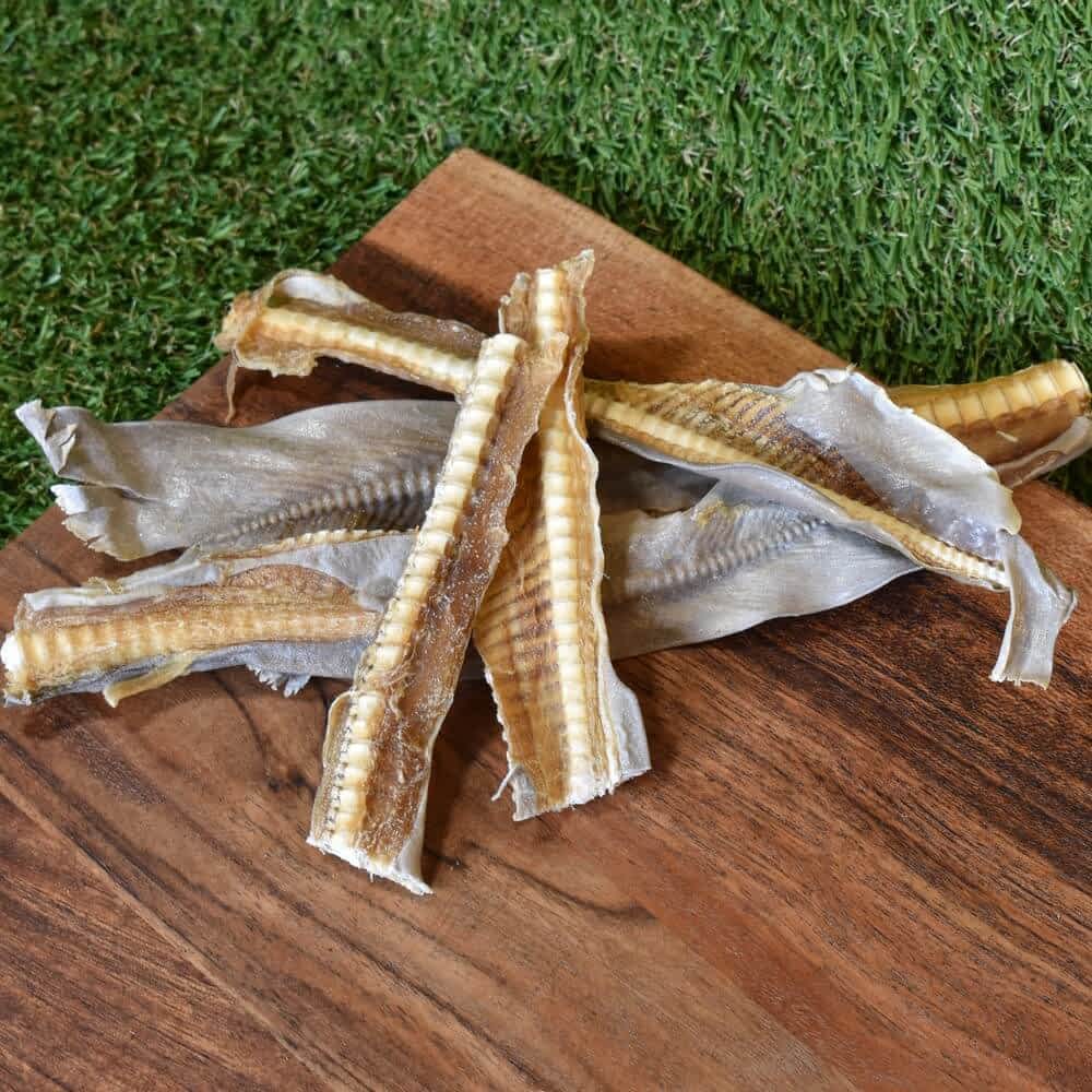 Shark Tail and Cartilage Chew, natural joint support and dental aid for small dogs