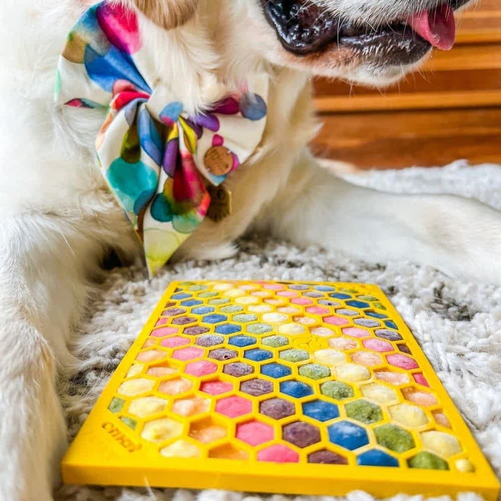 Filled Yellow Sodapup Honeycomb Lick Mat - Deep Groove Enrichment Mat for Experienced Dogs | Bonza Dog Treats