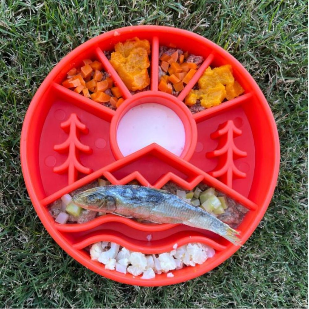 Sodapup Great Outdoors eBowl Enrichment Feeder Orange Some Chambers Filled with Food, on Grass