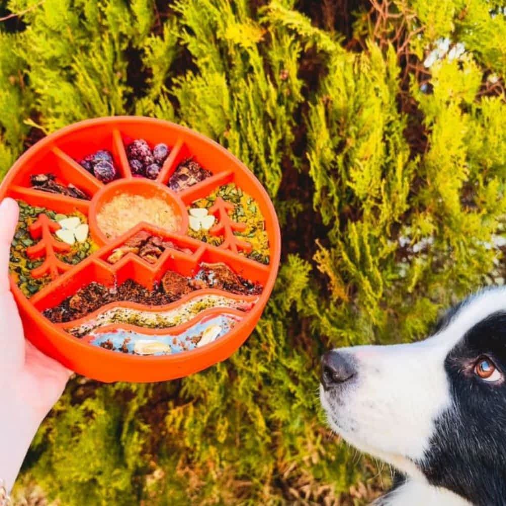 Dog with Filled Orange Sodapup Great Outdoors eBowl - Deep, Advanced Slow Feeder (4 Cup) | Bonza Dog Treats