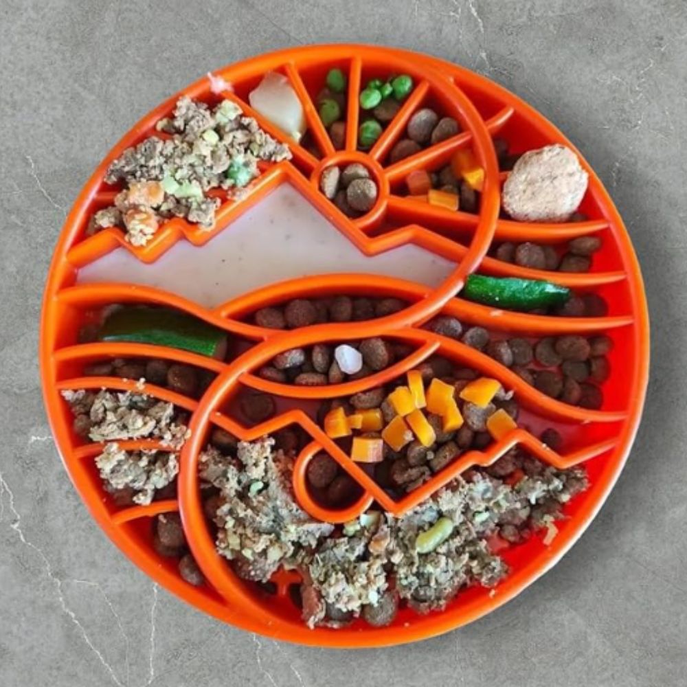 Soapup yin yang enrichment ebowl filled with dog food 