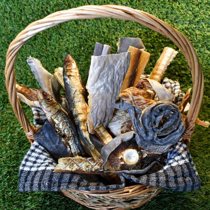 Taste of the Ocean Mixed Fish Treats Variety Pack - Natural Seafood for Dogs | Bonza Dog Treats