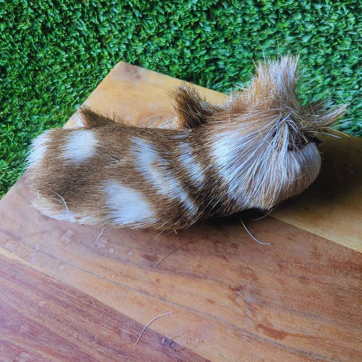 Venison Hide Scroll (Hairy)