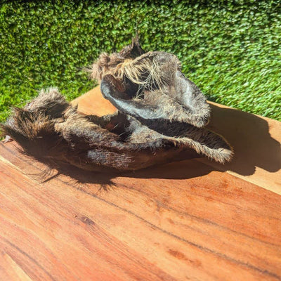 Venison Ears (Fur On)