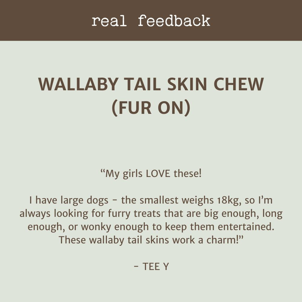 REAL CUSTOMER REVIEW WALLABY TAIL SKIN CHEW WITH FUR | BONZA DOG TREATS
