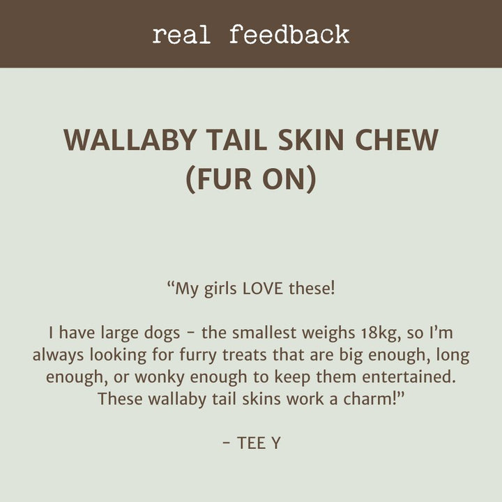 REAL CUSTOMER REVIEW WALLABY TAIL SKIN CHEW WITH FUR | BONZA DOG TREATS
