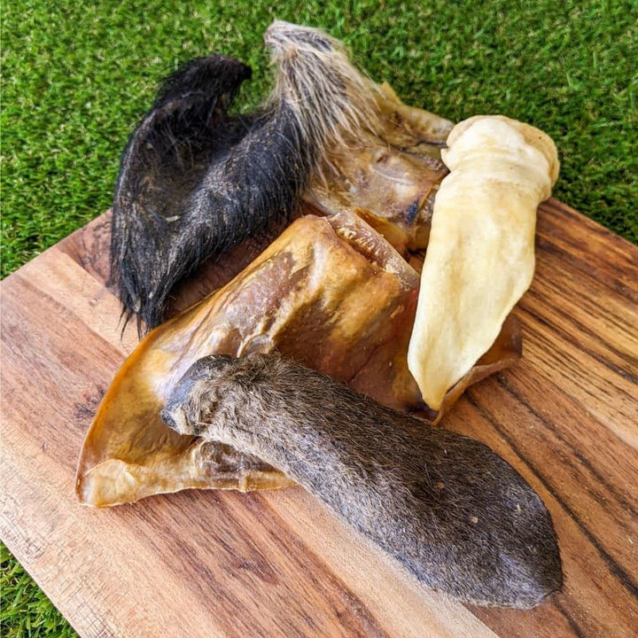 We're All Ears Variety Pack - 5 Assorted Dog Chews (Beef, Lamb, Pig, Kangaroo, Wild Boar) | Bonza Dog Treats