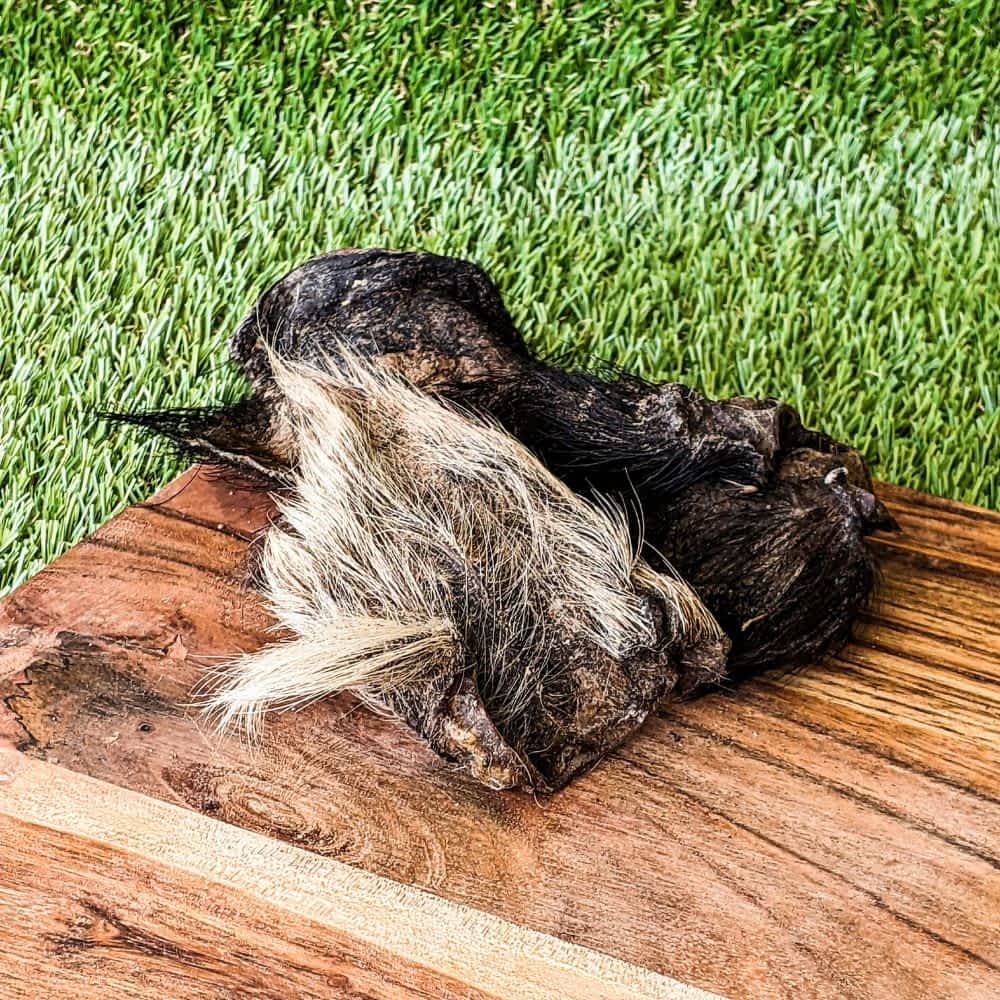 Wild Boar Ears with Fur - Novel Protein Digestive Chew - Bonza Dog Treats