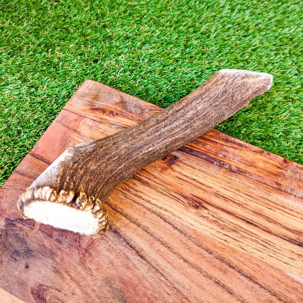 Deer antler nutritious dog dental chew | Bonza Dog Treats