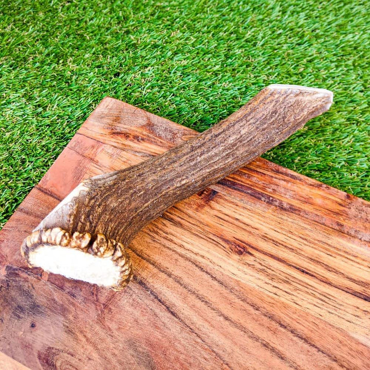 Deer antler nutritious dog dental chew | Bonza Dog Treats
