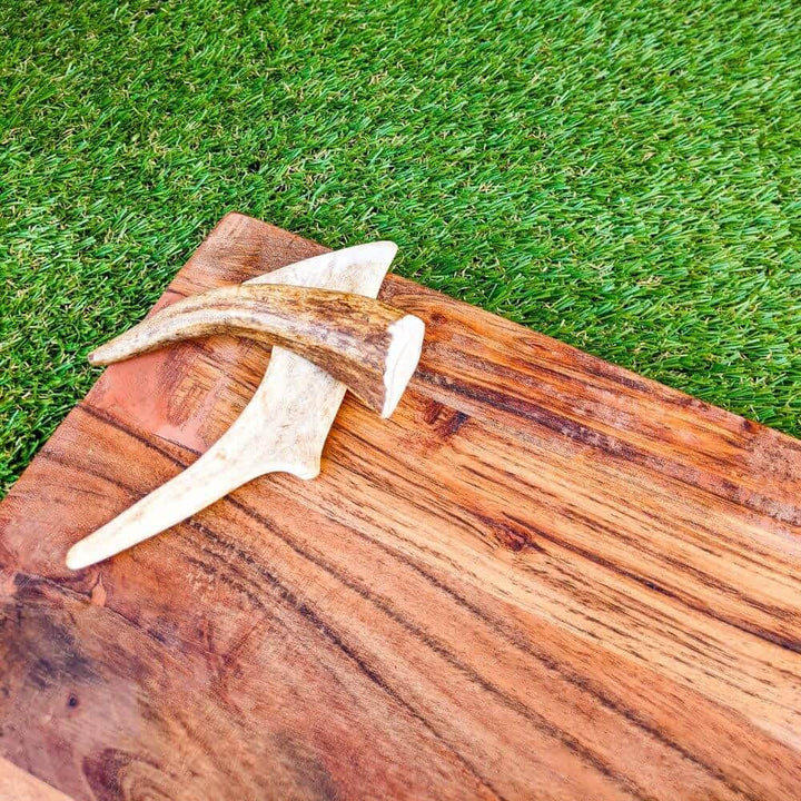 Deer antler nutritious dog dental chew | Bonza Dog Treats