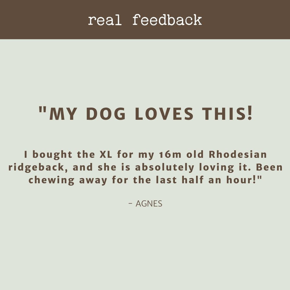 product review testimonial kangaroo tail bonza dog treats