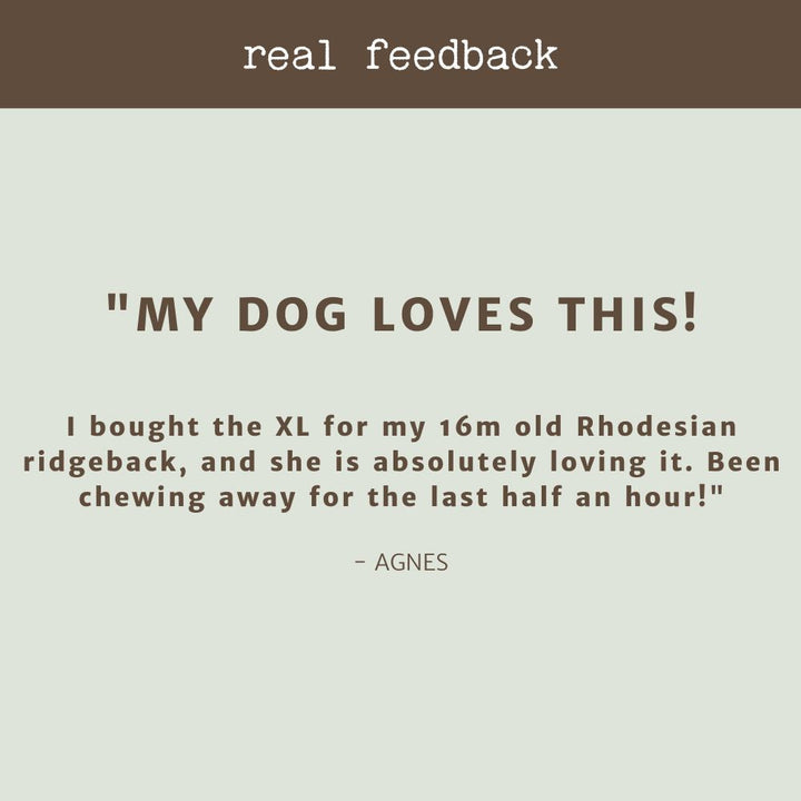 product review testimonial kangaroo tail bonza dog treats