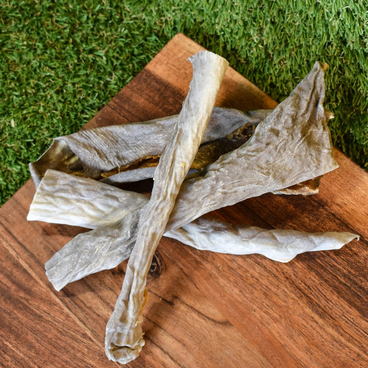 close up of Shark Skin Strips dehydrated shark skin dog treat fish treats for dogs Bonza Dog Treats