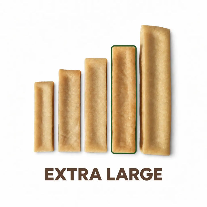 extra large himalayan chew size comparison