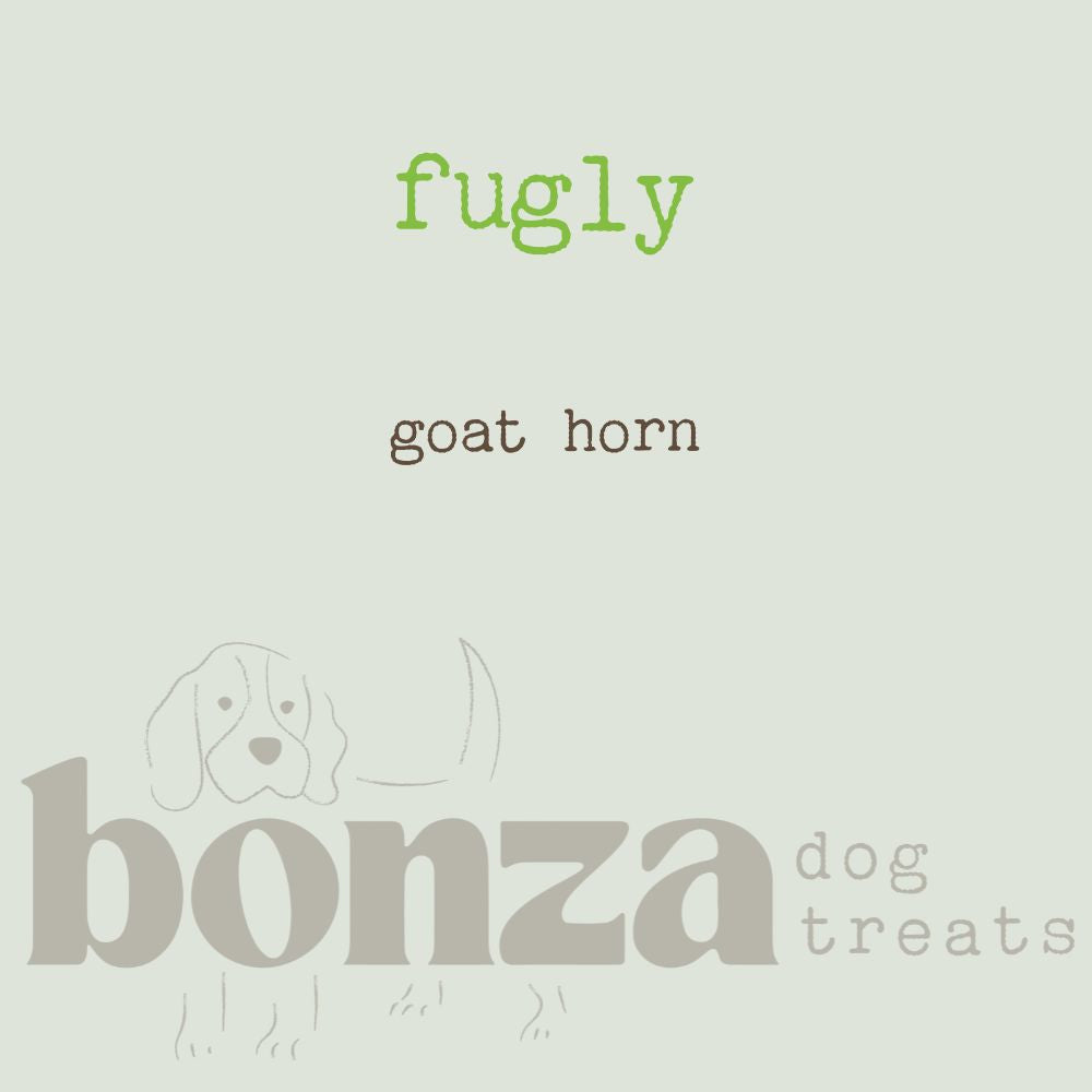 imperfect goat horn 10 pieces budget friendly option | Bonza Dog Treats