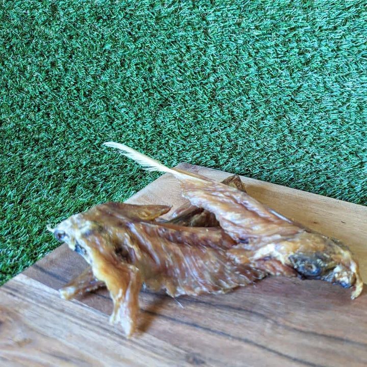 Australian Turkey Wing Tips - Long-Lasting Dental Chew for Medium to Large Dogs | Bonza Dog Treats