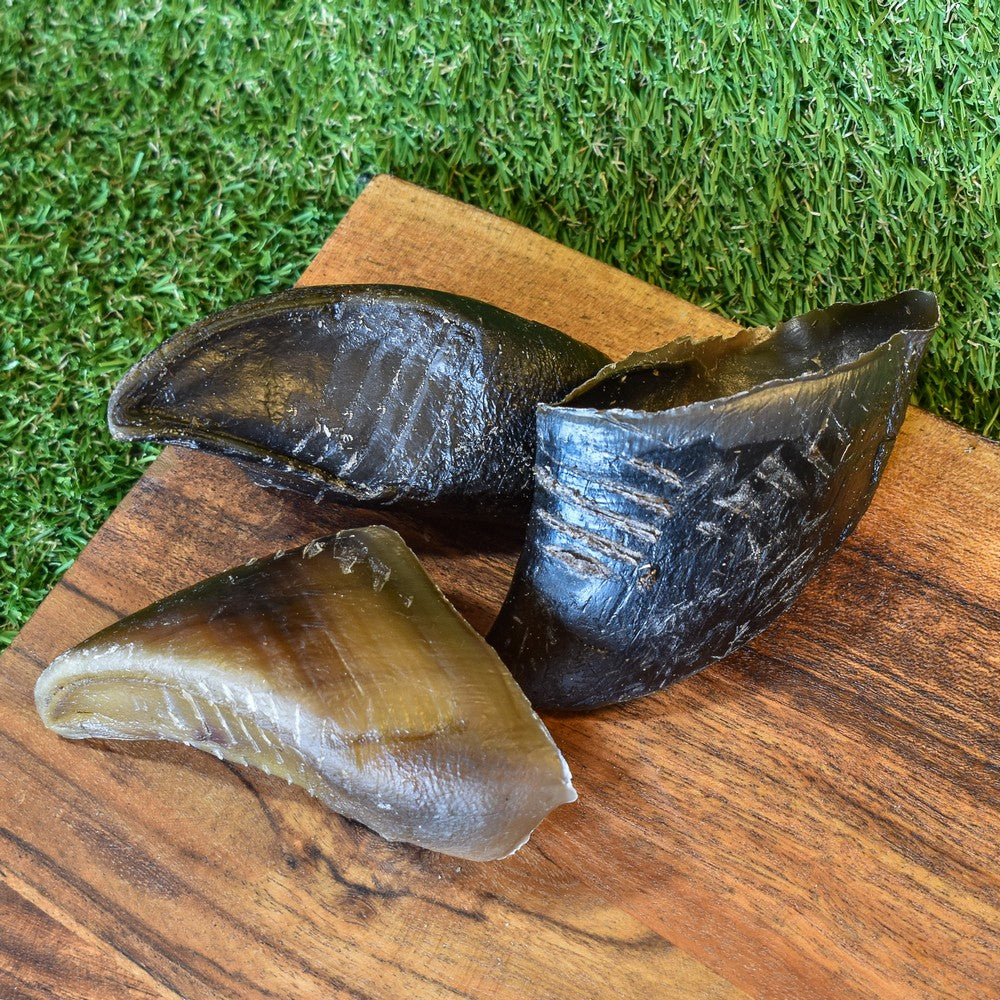  low-fat Cow Hooves (Beef Toe Nails) for long-lasting chew enrichment | Bonza Dog Treats