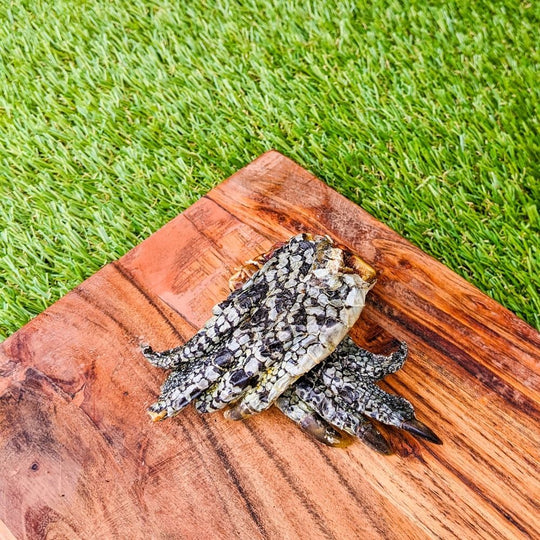 Crocodile Feet | Hypoallergenic Novel Protein Aussie Dog Treats – Bonza