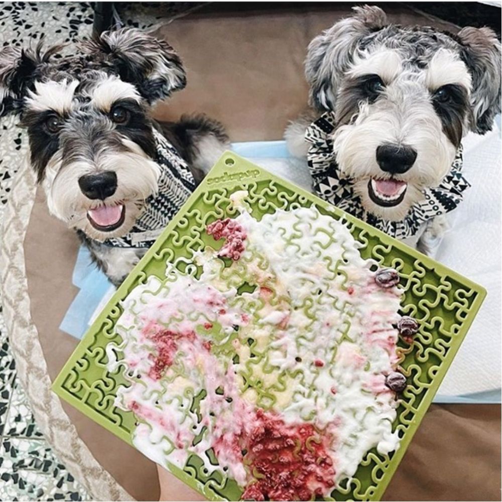 Dogs with filled Enrichment feeding mat for dogs by Sodapup - Jigsaw design