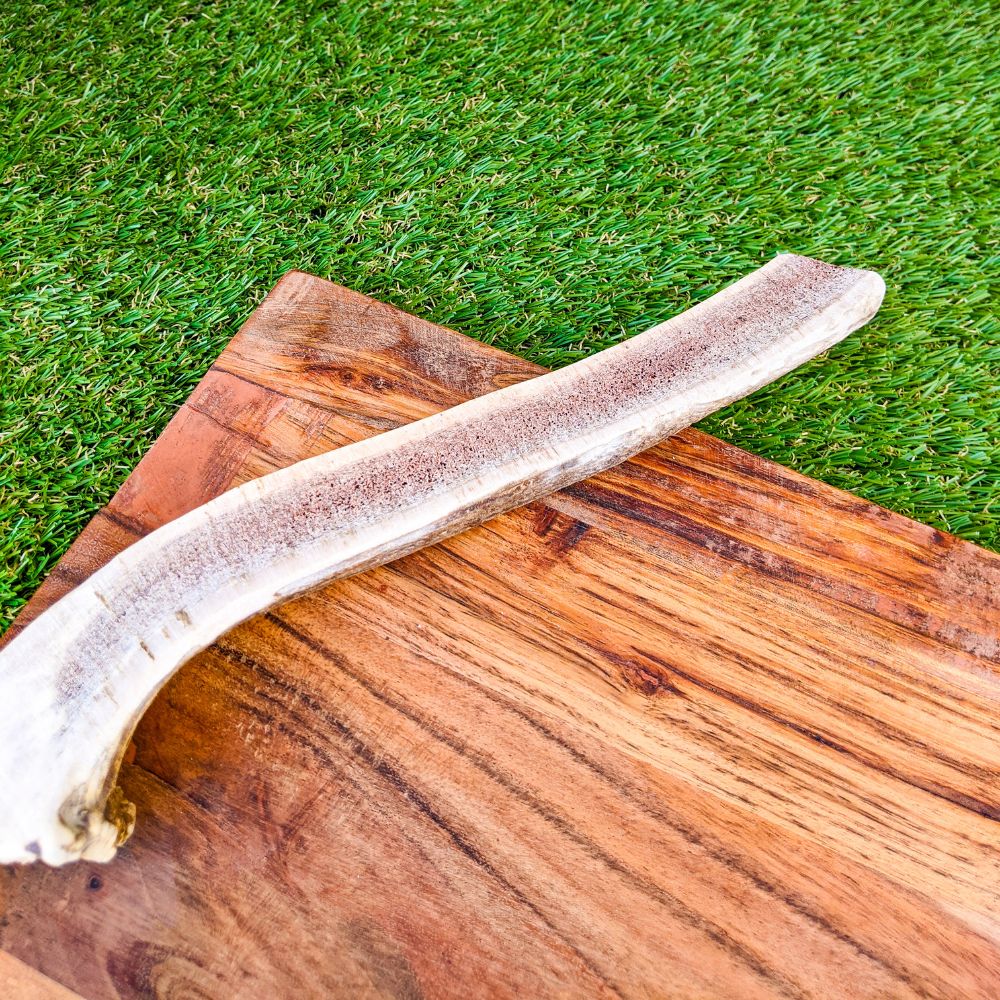 Split deer antler dog chew treat Bonza Dog Treats