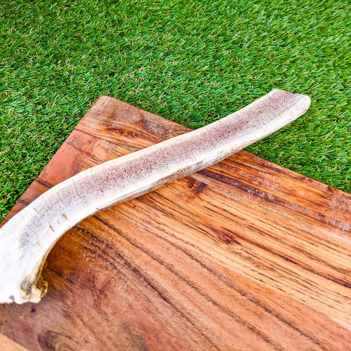 Split deer antler dog chew treat Bonza Dog Treats