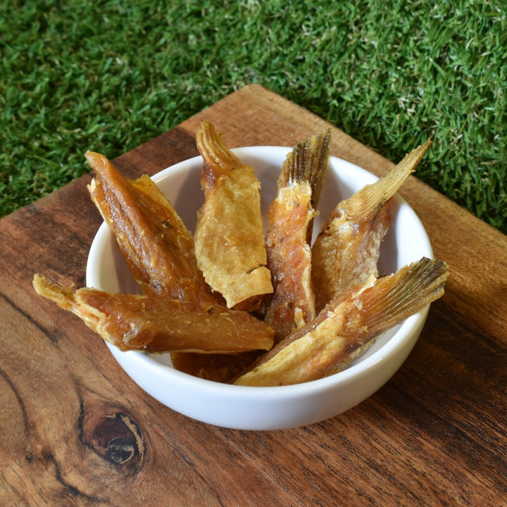 Salmon belly fish treat for dogs and cats Bonza Dog Treats