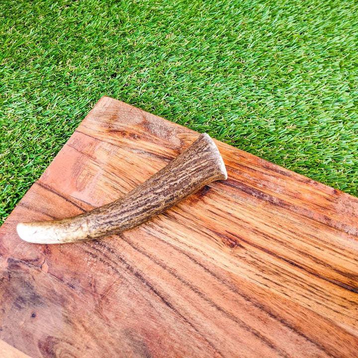 Whole deer antler dog chew treat Bonza Dog Treatss