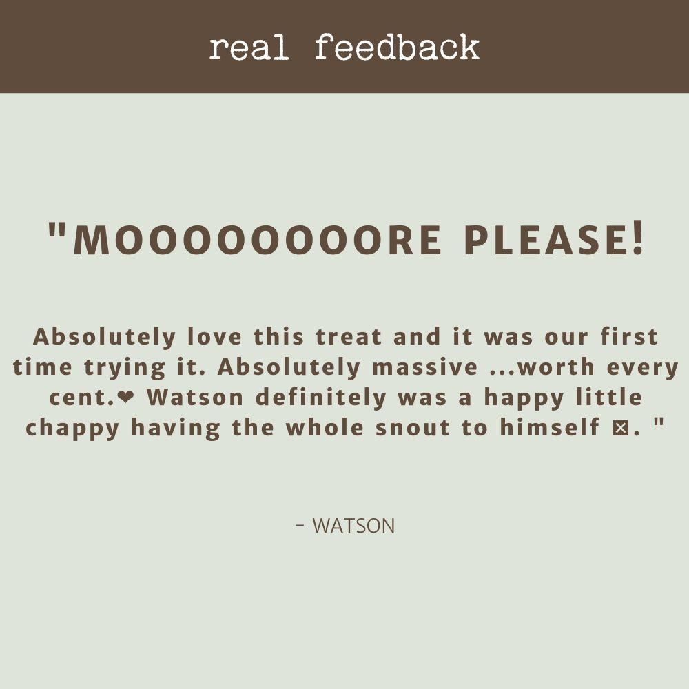 product review testimonial beef snout cow face bonza dog treats