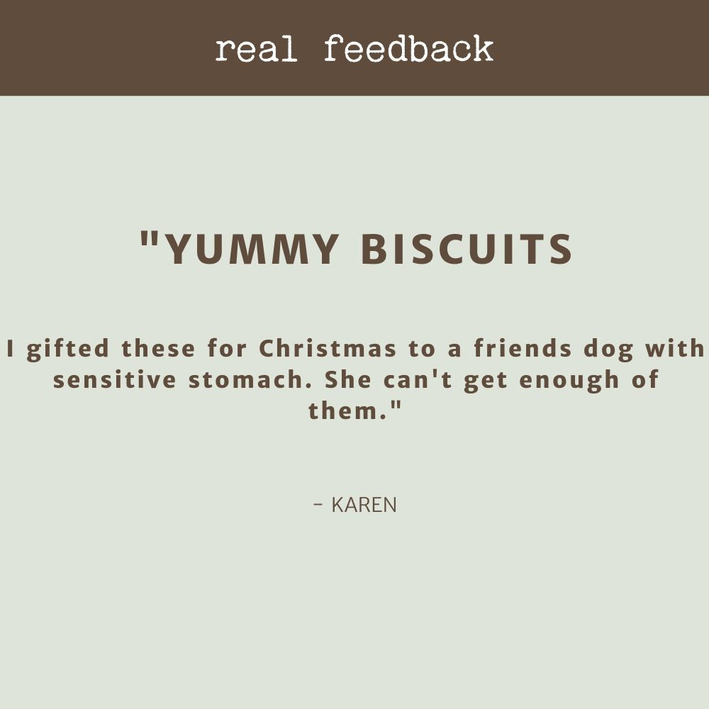 product review testimonial Bodie's biscuits gourmet handmade dog biscuits bonza dog treats 