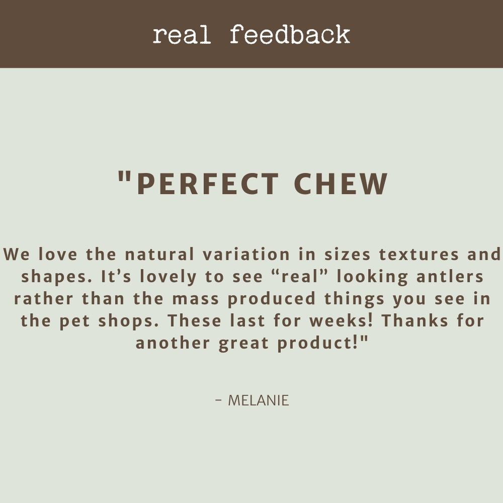 producr review testimonial deer antler bonza dog treats