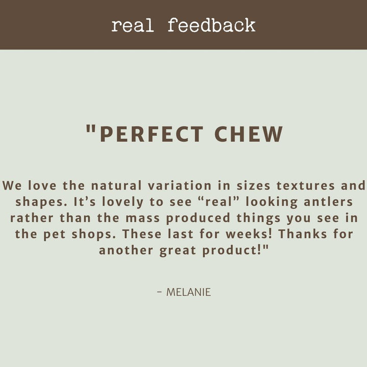 producr review testimonial deer antler bonza dog treats