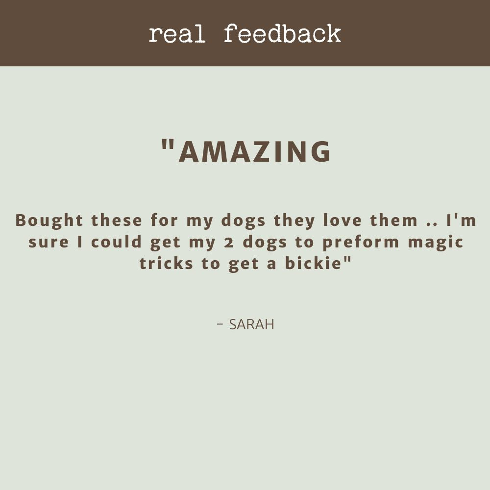 product review testimonial gourmet biscuit variety pack bonza dog treats