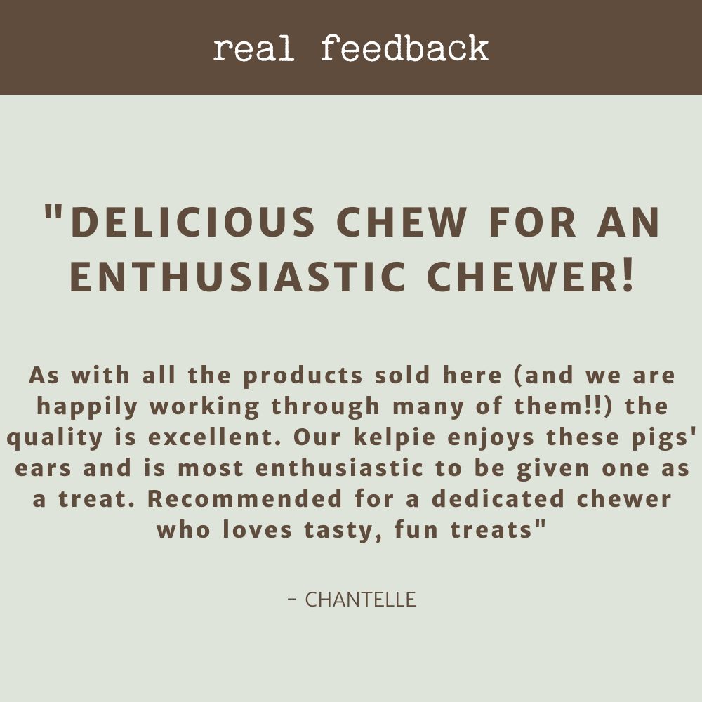 product review testimonial pigs ears bonza dog treats